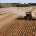 Apple stock in the red ahead of Q4 earnings: what to expect?